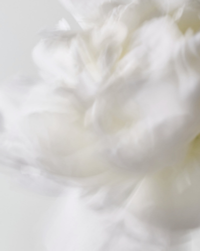 COTTON BREEZE